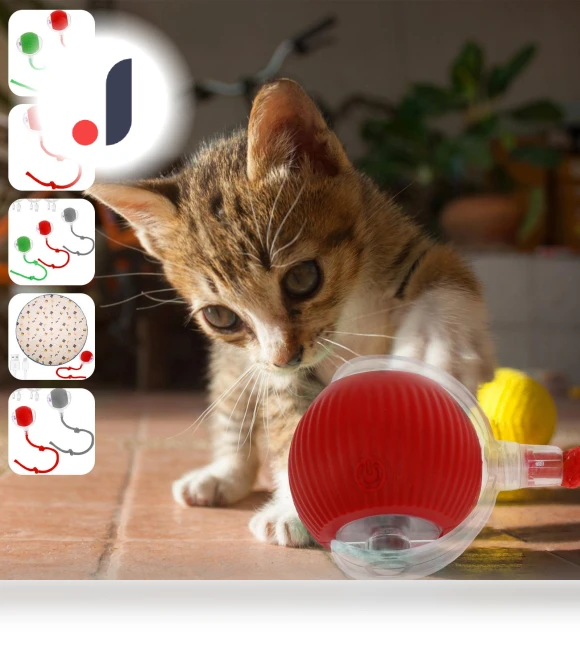 Interactive Cat Toy Ball — Cat Playthings, AE Selection