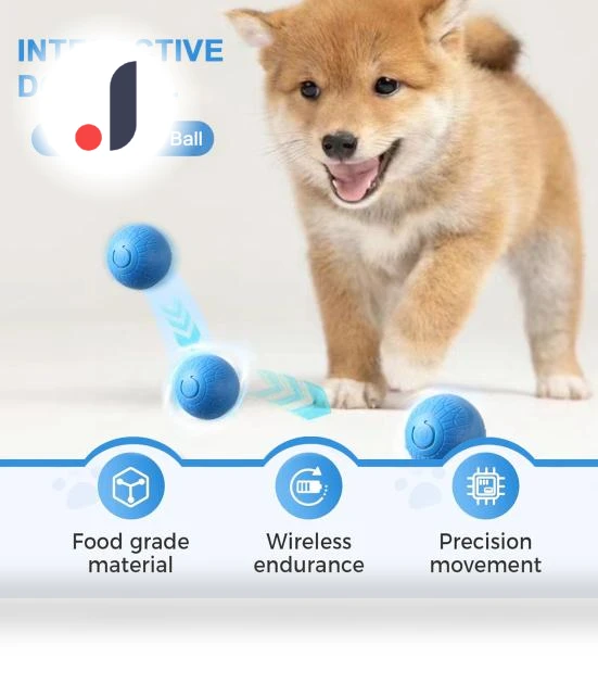 Interactive Pet Toy Ball — Cat Playthings, fanweixi