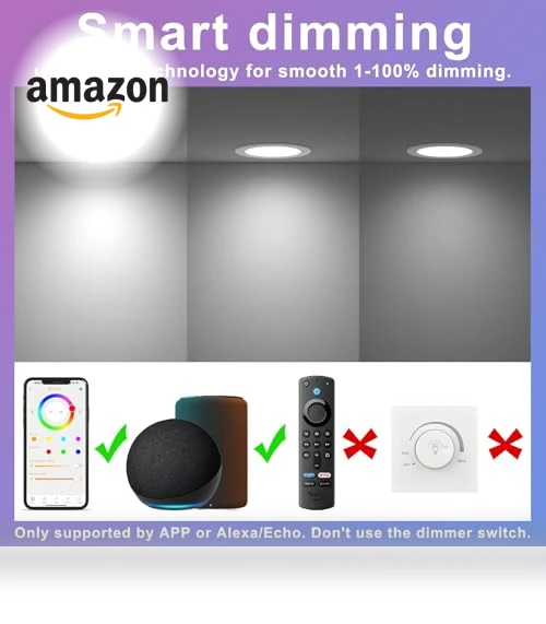 Smart Recessed Lighting — Recessed Lighting, SikSog