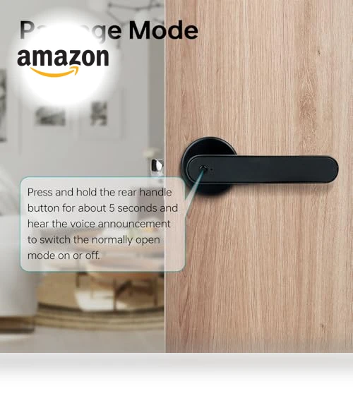 Fingerprint Door Lock — Padlocks & Hasps, LEELEN