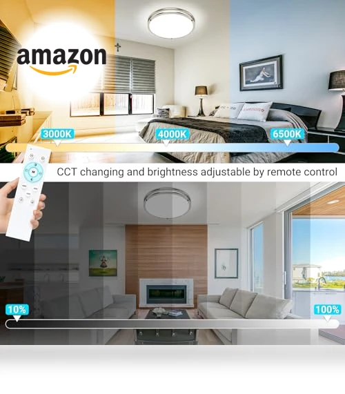 Flush Mount Ceiling Lights with Remote — Overhead Lighting, libtit