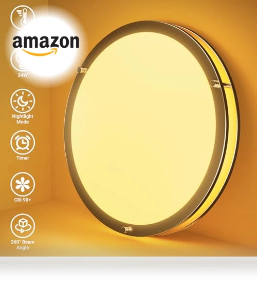 Flush Mount Ceiling Lights with Remote — Overhead Lighting, libtit