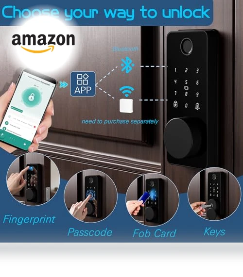 Keyless Entry Door Lock — Locks, IBLOG
