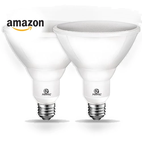 LED Flood Light Bulb — Outdoor Security & Flood Lighting, ENERGETIC SMARTER LIGHTING