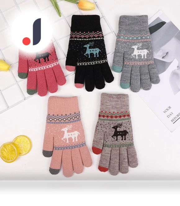 Double-Layered Thickened Velvet Winter Warm Gloves with Touchscreen — Gloves, Outdoor Boutique TOP