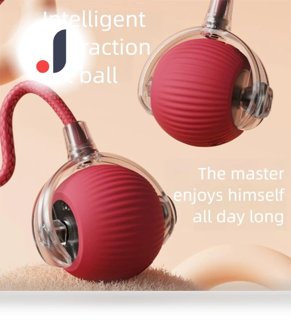 Interactive Cat Toy Ball — Balls, Pet Zooo