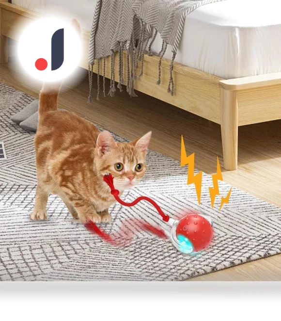 Interactive Self-Moving Electronic Smart Ball for Pets — Interactive Animal Companions, Boyuan