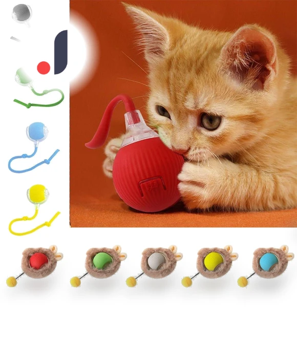 Rechargeable Smart Cat Toys Fast Rolling Dog Cat Training Ball — Cat Playthings, nzhboz