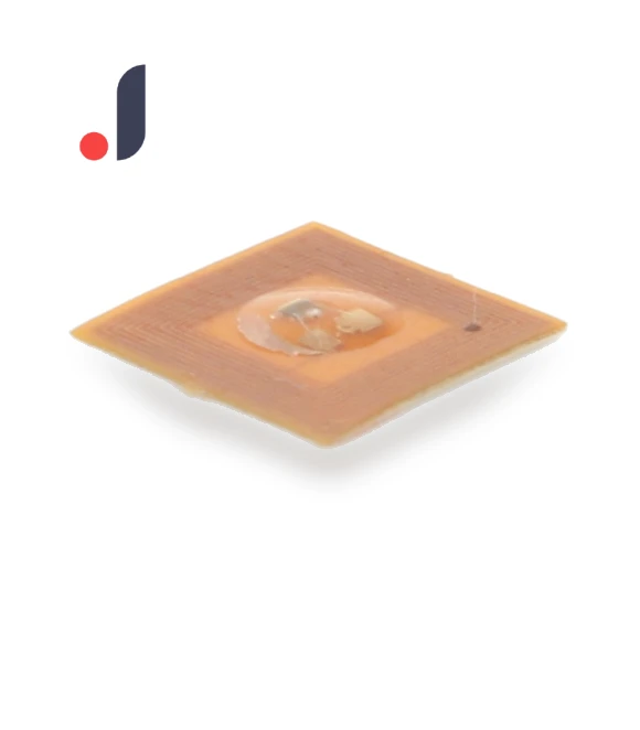 Smart Nail Chip — Wearable Accessories, ZY-Sport-N