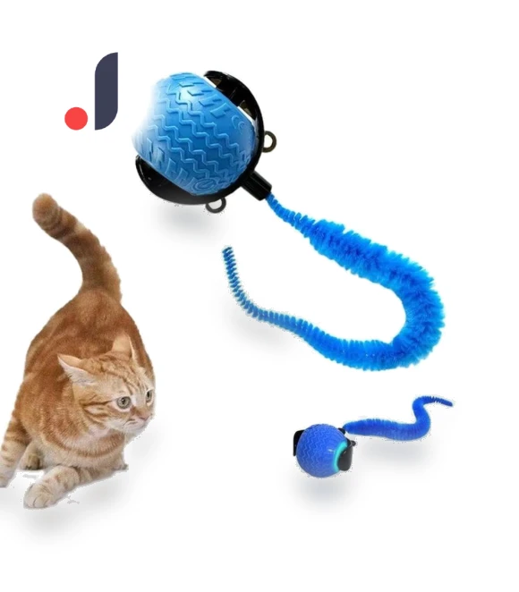 Automatic Training Ball for Pets — Automatic Launchers, SHshuaizhen