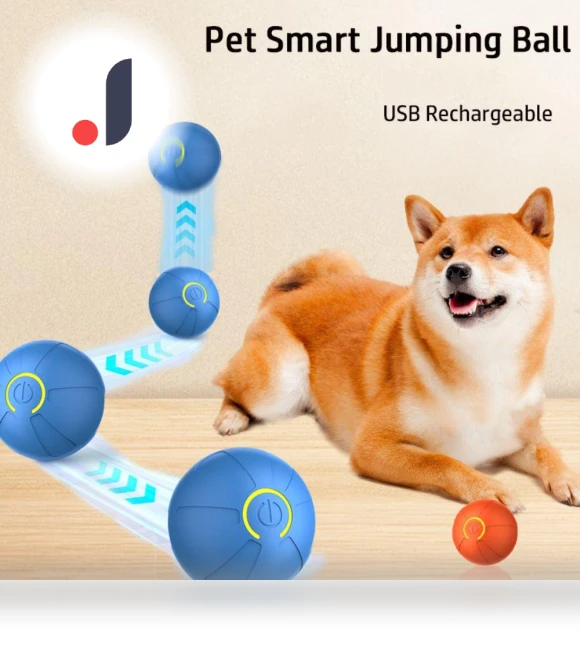 Rechargeable Smart Ball for Dogs — Balls, Renran