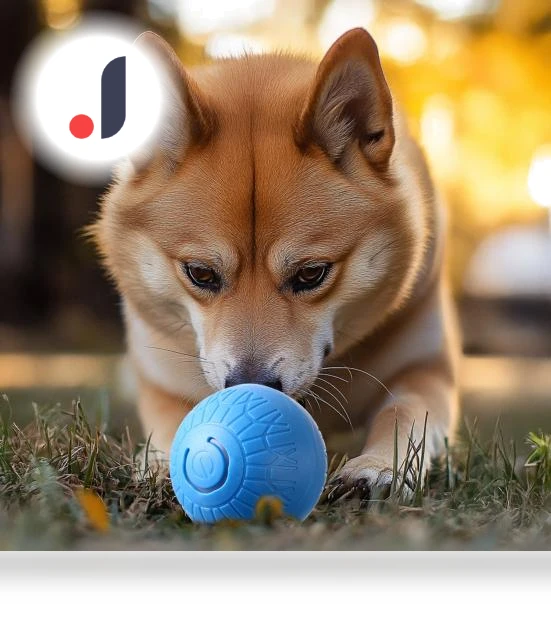 Self-driving Jumping Ball — Automatic Launchers, Pet park