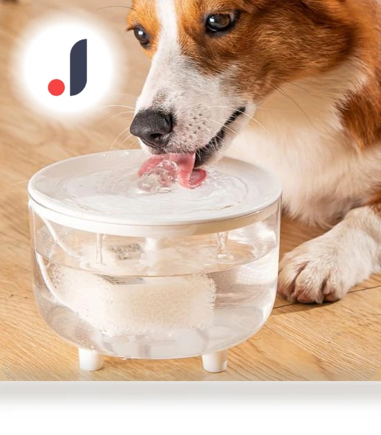 Automatic Pet Water Fountain — Fountains, Pet park