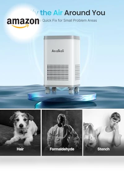 Large Room Air Purifier with HEPA and AOP Alkali Bucket — Activated Carbon Air Purifiers, BWS Alkali Inc.