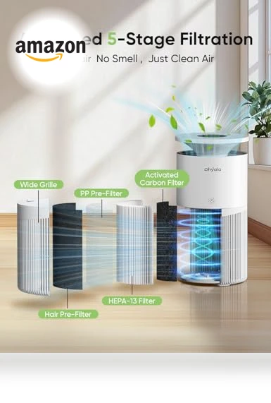 Large Room Air Purifier — HEPA Air Purifiers, Dhyala