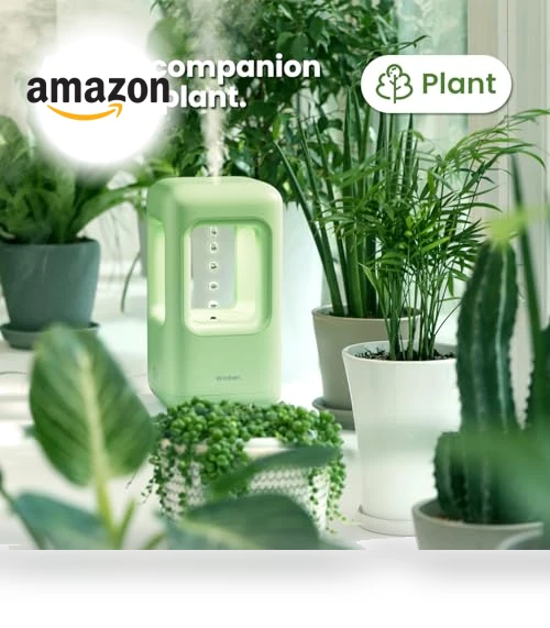 Mini Humidifier — Air Moisturizers, Winben