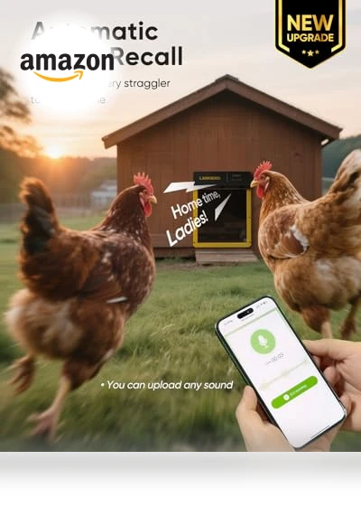Automatic Chicken Coop Door — Poultry Hydration Solutions, LARKBIRD