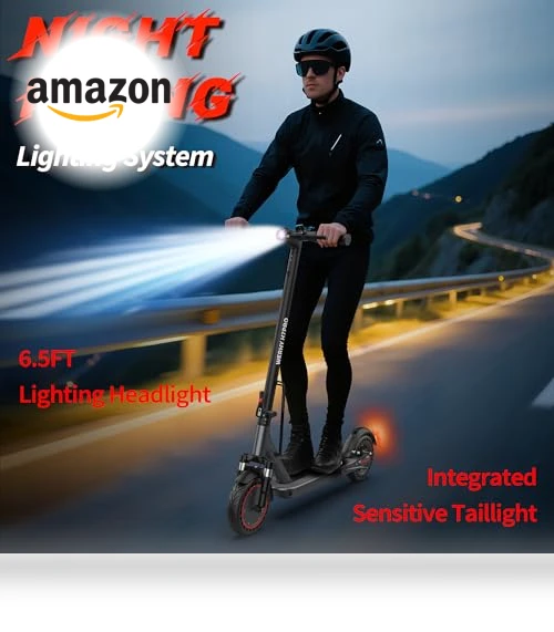 Electric Scooter — Electric Self-Balancing Scooters, WERHY