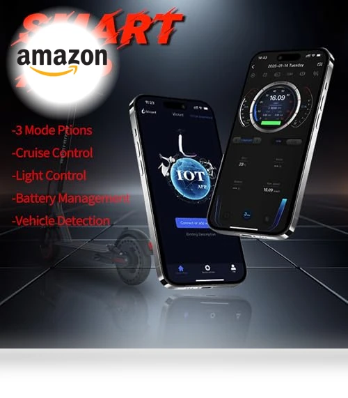 Electric Scooter — Electric Self-Balancing Scooters, WERHY
