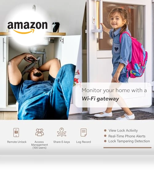 Keyless Entry Door Lock — Smart Home Security, Lio home