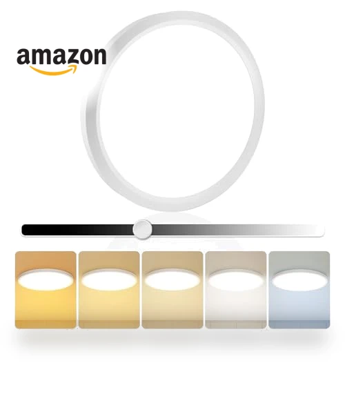 LED Flush Mount Ceiling Light — Overhead Lighting, EOSMILE