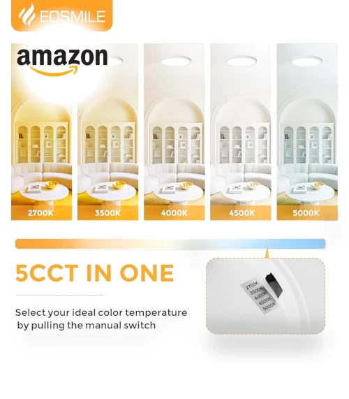 LED Flush Mount Ceiling Light — Overhead Lighting, EOSMILE