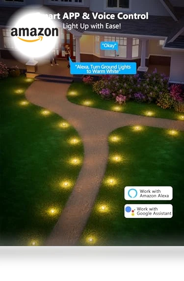 Outdoor Ground Lights — Outdoor Security & Flood Lighting, Brizled