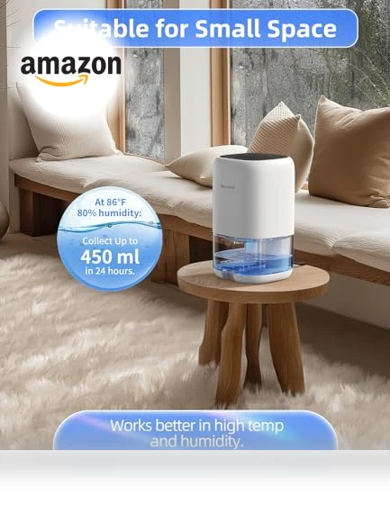 Small Dehumidifier — Air Moisture Control, TABYIK