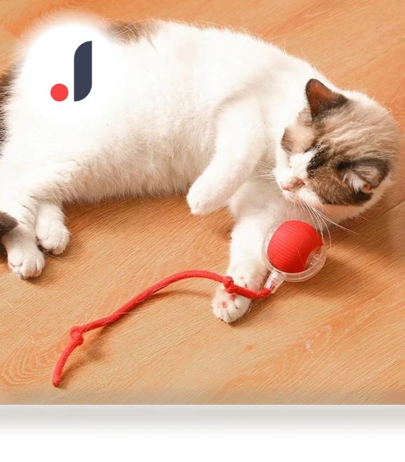 Automatic Electric Rolling Ball — Cat Playthings, Shanylty