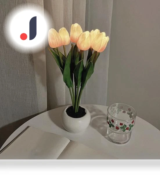 LED Night Light with Touch Control — Night Lights, Kitchen artifact
