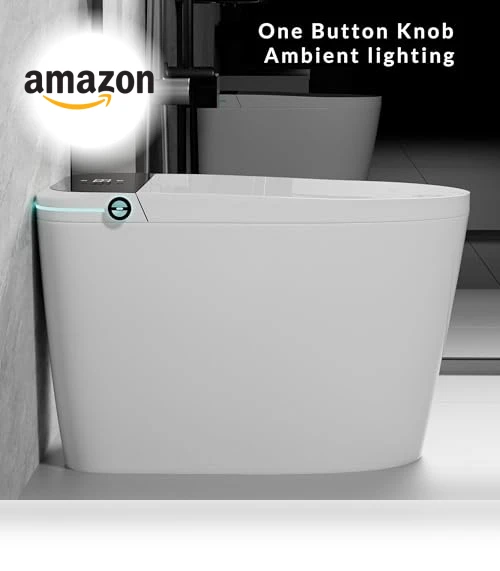 Smart Toilet with Heated Seat and Bidet — Bathroom Essentials, WinZo