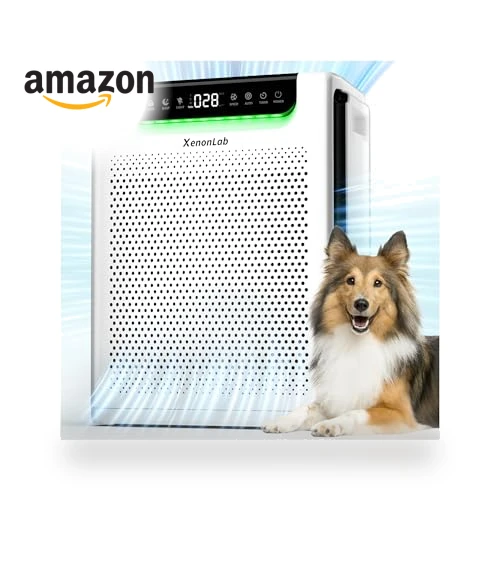 Large Room Air Purifier — Activated Carbon Air Purifiers