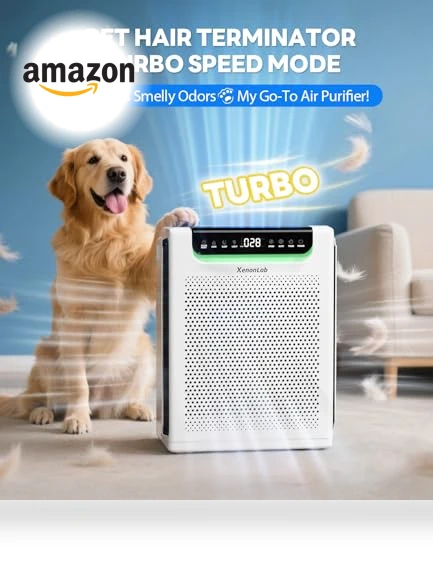 Large Room Air Purifier — Activated Carbon Air Purifiers