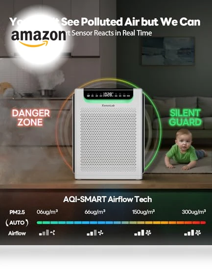 Large Room Air Purifier — Activated Carbon Air Purifiers