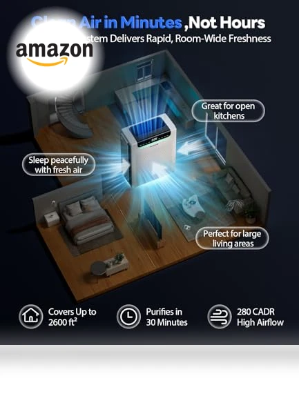 Large Room Air Purifier — Activated Carbon Air Purifiers