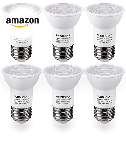 PAR16 LED Bulb — Incandescent, TORCHSTAR