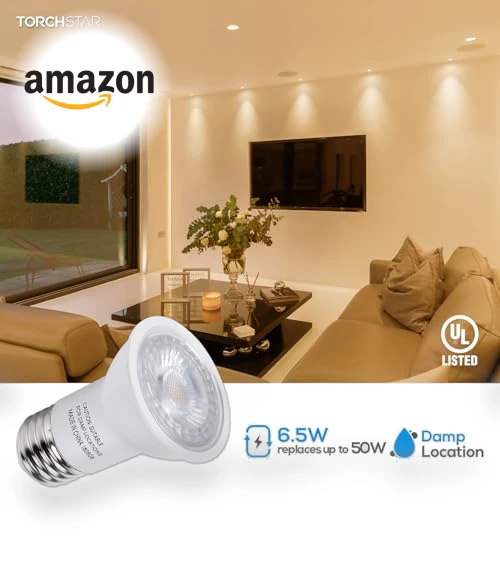 PAR16 LED Bulb — Incandescent, TORCHSTAR