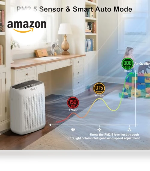 Air Purifier for Home Large Room — Activated Carbon Air Purifiers, VEWIOR