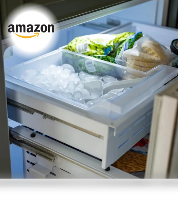 Bottom Freezer Refrigerator — Cooling Solutions, Savalo