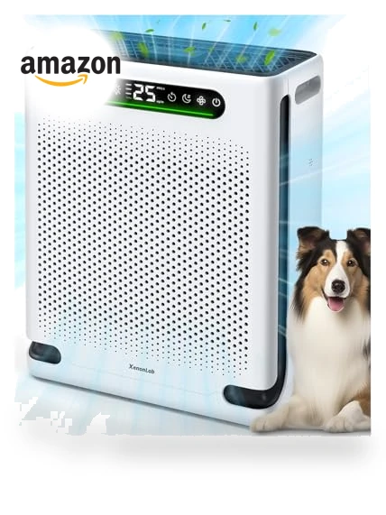 Large Room Air Purifier — Activated Carbon Air Purifiers, XenonLab