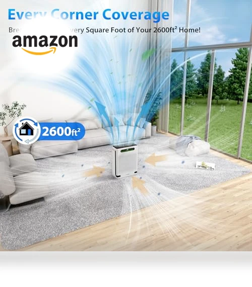 Large Room Air Purifier — Activated Carbon Air Purifiers, XenonLab