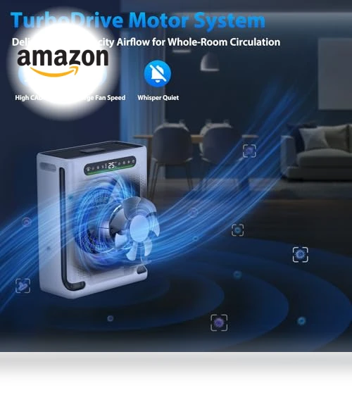Large Room Air Purifier — Activated Carbon Air Purifiers, XenonLab