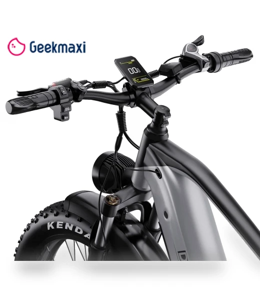 Fat Tire Electric Bike — Electric Vehicles, DUOTTS