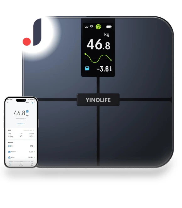 Body Composition Scale — Body Composition Analysis, SAMURAI STYLE