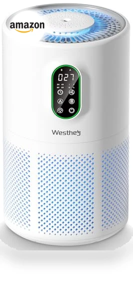 Large Room Air Purifier with HEPA Filter and Night Light — HEPA Air Purifiers, WESTHEY