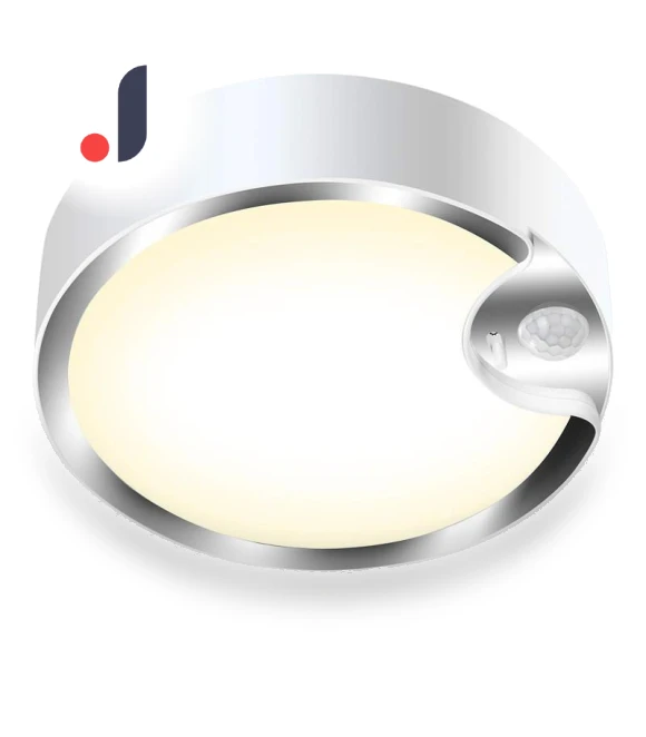 Motion Sensor Ceiling Light — Outdoor Security & Flood Lighting, PawHaven