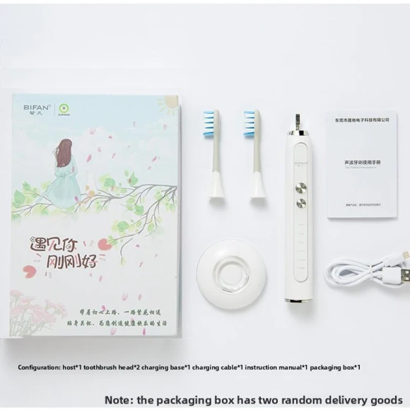 Electric Toothbrush for Adults — Chargers, Binchi Health Technology