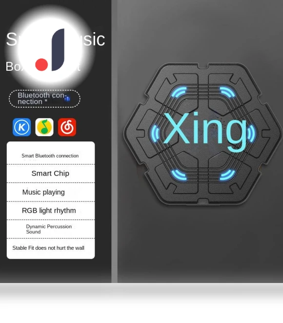 Smart Musical Boxing Trainer — Boxing Training Gear, Binchi Outdoor Equipment