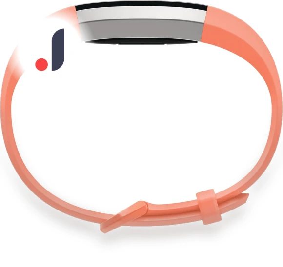 Fitness Activity Tracker — Fitness & Activity Monitors, Large discount