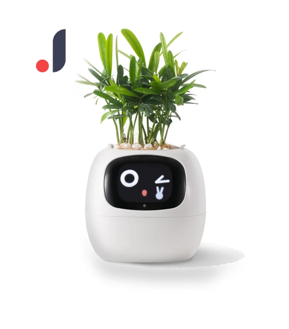 Умный робот-кашпо для питомцев — Bonsai Cultivation, DOKI DOKI MARKET form NIPPON